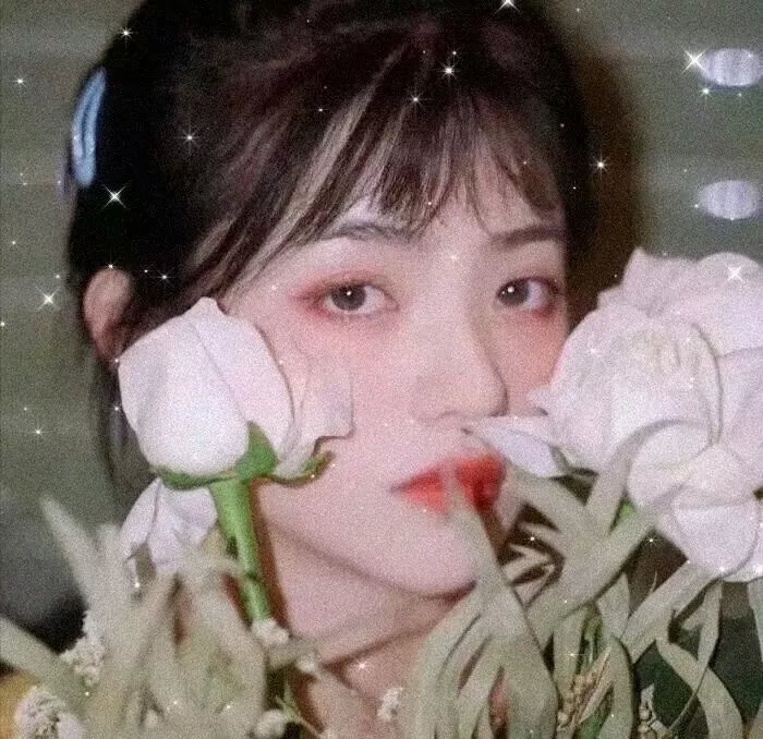 风尘血泪